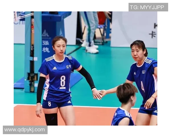 赛后分析：西安排球队与南京排球队实力对比与战术探讨