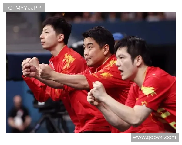 乒乓球热议:南京乒乓球队的实力争议 乒乓球热议:南京乒乓球队的实力争议